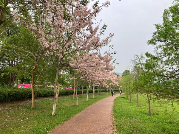 ▲「名間親子生態園區」將從9月10日起休園，預計明年1月10日重新開放。（圖／翻攝自Facebook／名間親子生態園區）