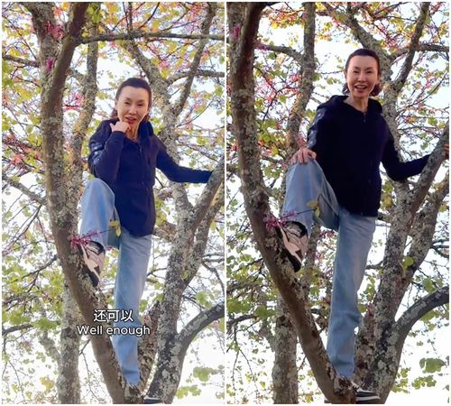 張曼玉爬樹，身手矯健。（翻攝小紅書）