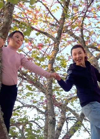 張曼玉跟小女孩一起爬樹。（翻攝小紅書）