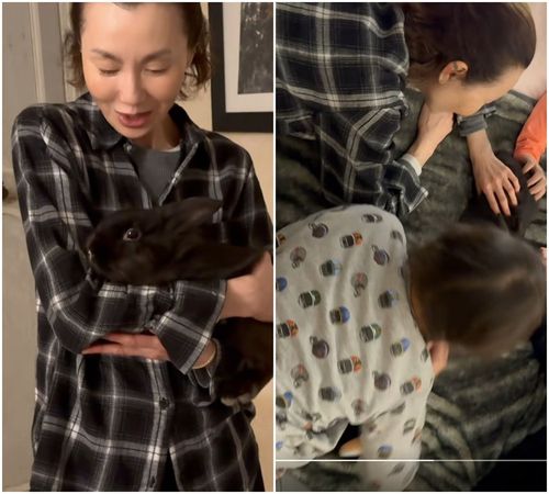 張曼玉摸摸黑色小兔子。（翻攝小紅書）