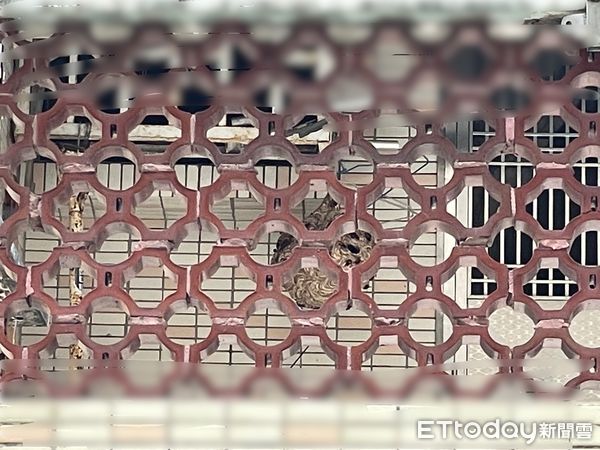 ▲前鎮區民權二路一棟透天厝，下午發生一起民眾遭蜂類螫傷事件。（圖／記者吳世龍翻攝）