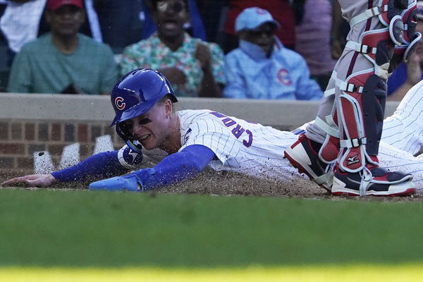 ▲▼小熊阿姆斯壯。（圖／路透）