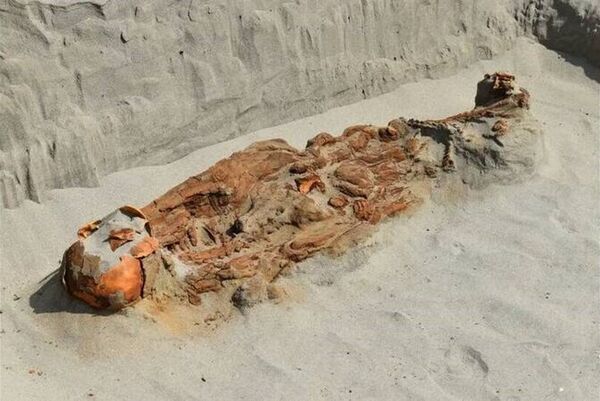 遺骸部分呈臉朝下埋葬，並無陪葬品。（翻攝自祕魯國立聖馬科斯大學）