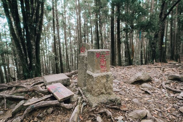 ▲新竹縣尖石、五峰四條步道。（圖／新竹縣政府提供）