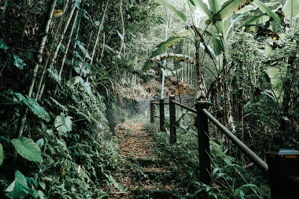 ▲新竹縣尖石、五峰四條步道。（圖／新竹縣政府提供）