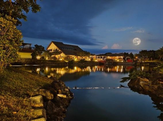 ▲綠舞Villa年底前每週一至週四買一送一。（圖／綠舞提供）