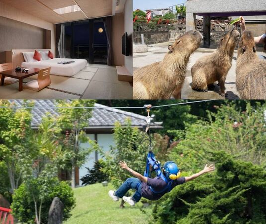 ▲綠舞提供多樣遊憩與住宿選擇。（圖／綠舞提供)