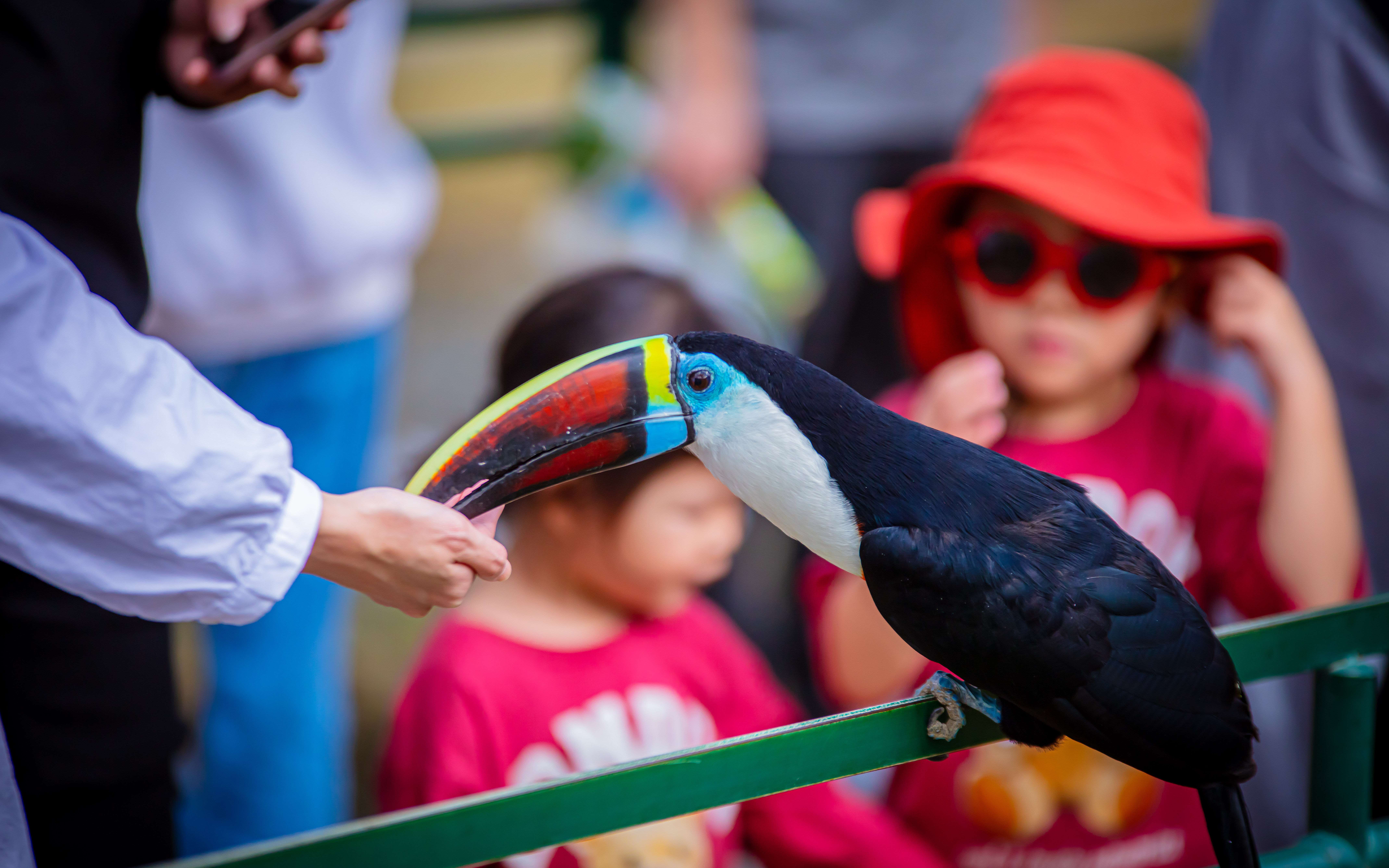 ▲九九峰動物樂園。（圖／九九峰動物樂園提供）