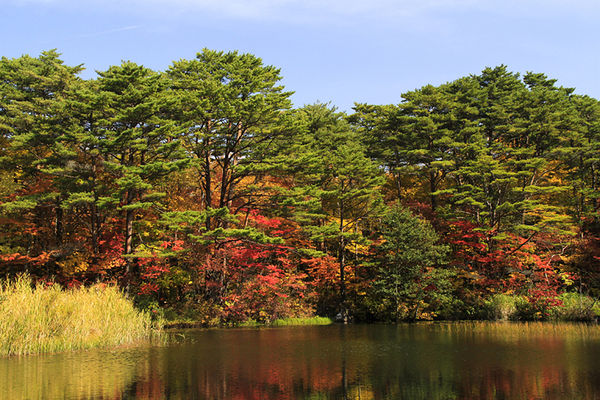 ▲▼磐梯山黃金公路。（圖／福島縣觀光復興推進委員會提供）