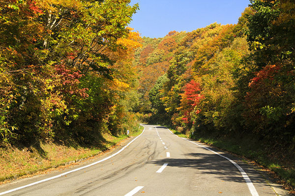 ▲▼磐梯山黃金公路。（圖／福島縣觀光復興推進委員會提供）