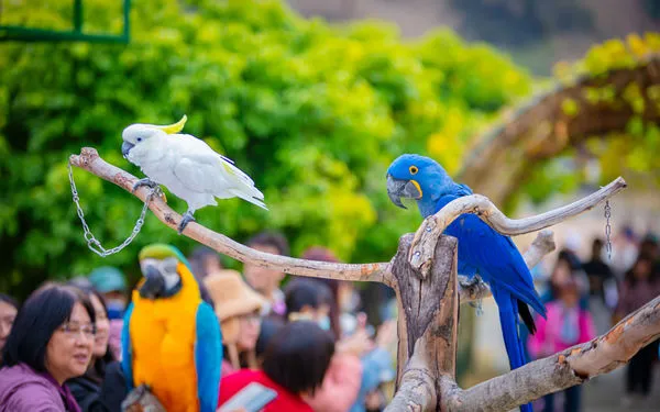 ▲九九峰動物樂園。（圖／九九峰動物樂園提供）
