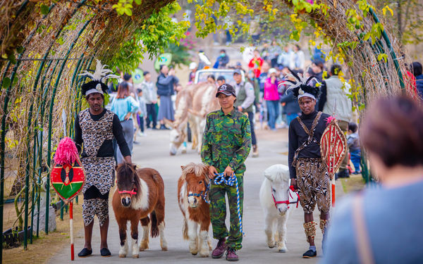 ▲九九峰動物樂園。（圖／九九峰動物樂園提供）