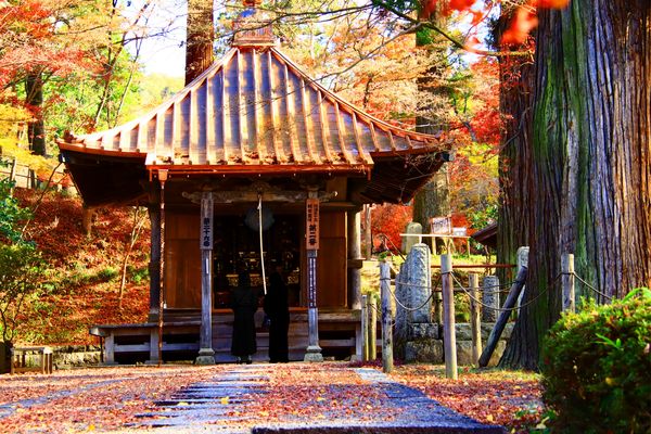 ▲▼文知摺觀音普門院。（圖／photo AC）