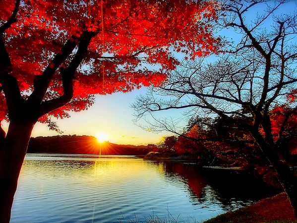 ▲▼福島南湖公園。（圖／photo AC）