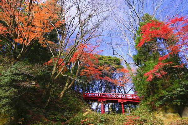 ▲▼福島馬陵公園。（圖／福島縣觀光復興推進委員會）