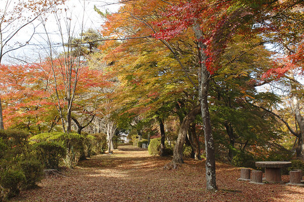 ▲▼棚倉城跡(龜城公園)。（圖／福島縣觀光復興推進委員會）