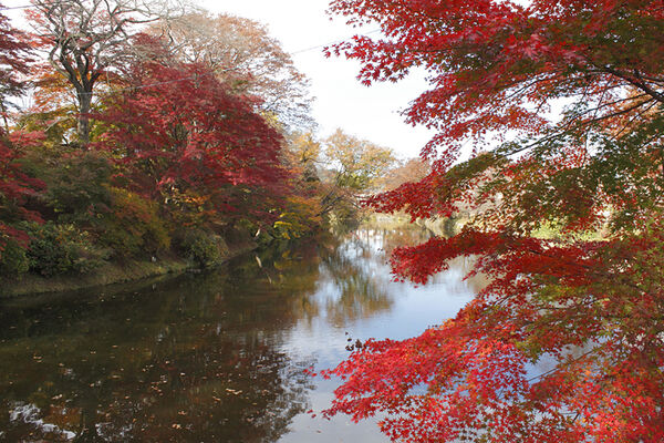 ▲▼棚倉城跡(龜城公園)。（圖／福島縣觀光復興推進委員會）