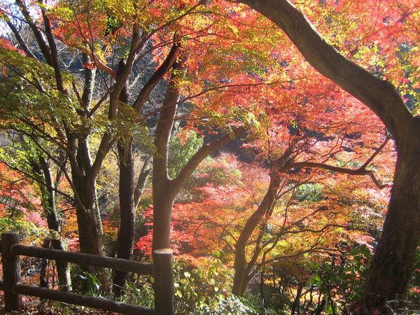 ▲▼福島龍神峡。（圖／photo AC）