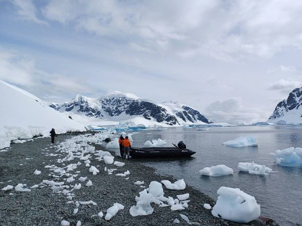 ▲元本旅遊今（3日）宣布，將於2027年三度包下「日月合朔 II 號」前往南極，旅客將尋訪地球上最大型的皇帝企鵝。（圖／元本旅遊提供）