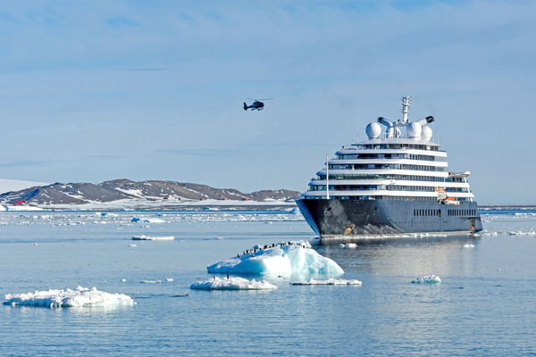 ▲元本旅遊今（3日）宣布，將於2027年三度包下「日月合朔 II 號」前往南極，旅客將尋訪地球上最大型的皇帝企鵝。（圖／元本旅遊提供）
