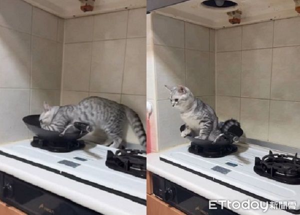 ▲。（圖／Threads@hi_rong0113提供，請勿隨意翻拍，以免侵權。）