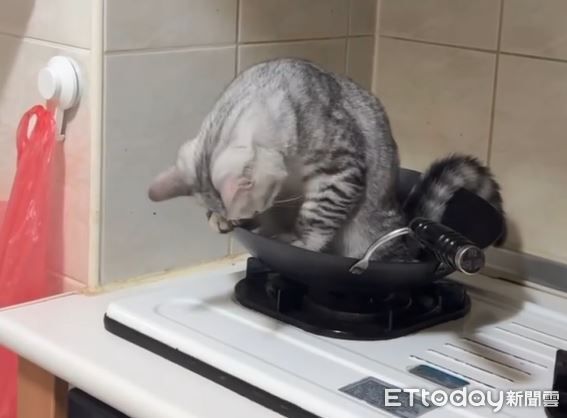 ▲。（圖／Threads@hi_rong0113提供，請勿隨意翻拍，以免侵權。）