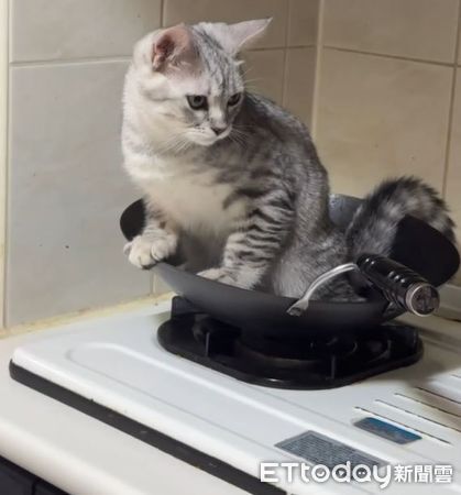 ▲。（圖／Threads@hi_rong0113提供，請勿隨意翻拍，以免侵權。）