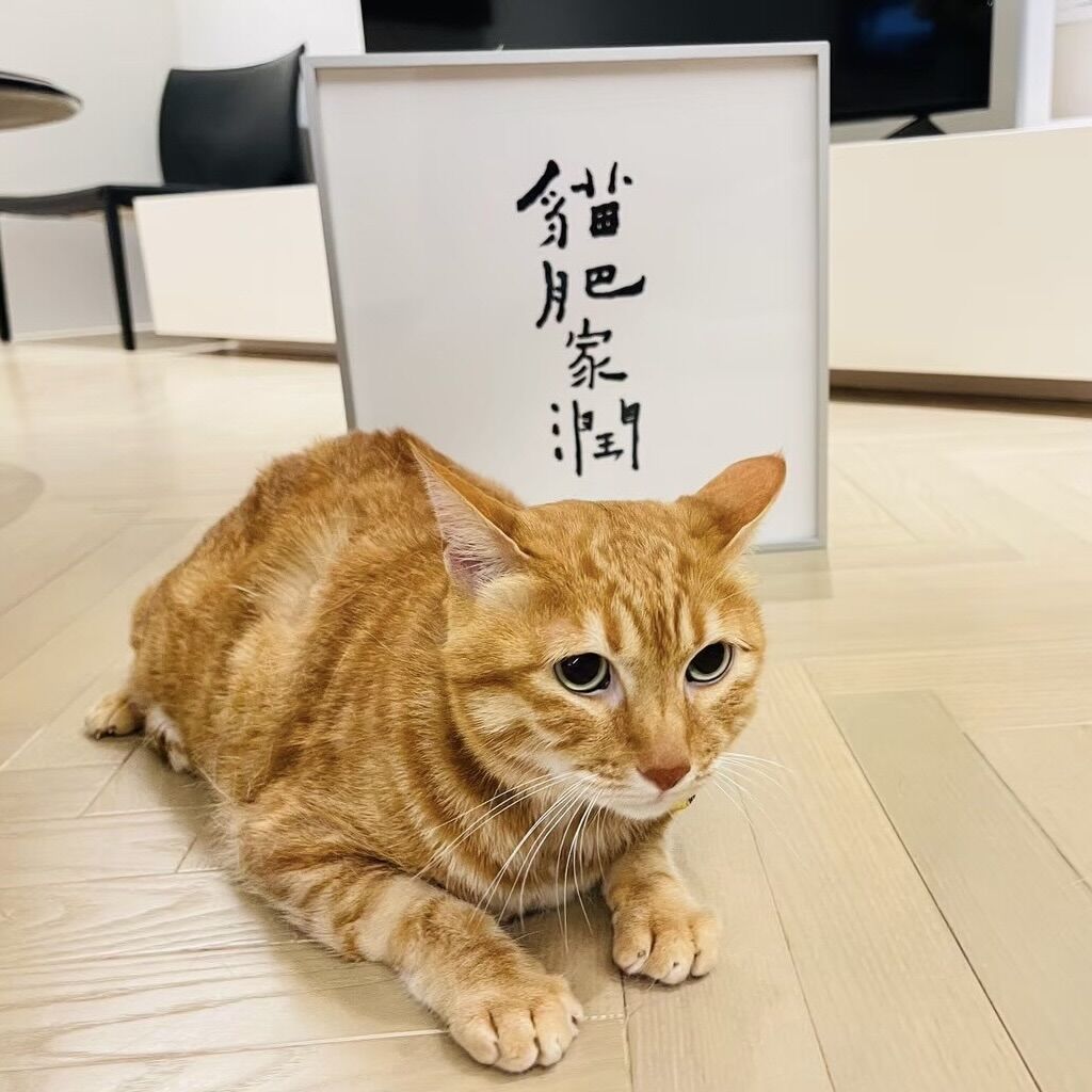 ▲▼蔡英文開箱生日禮物與願望。（圖／翻攝自Facebook／蔡英文）