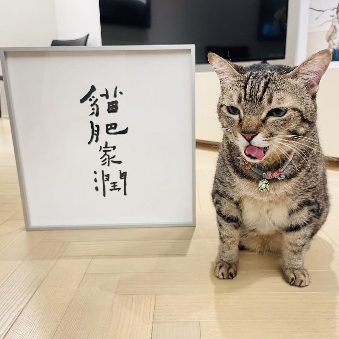 ▲▼蔡英文開箱生日禮物與願望。（圖／翻攝自Facebook／蔡英文）