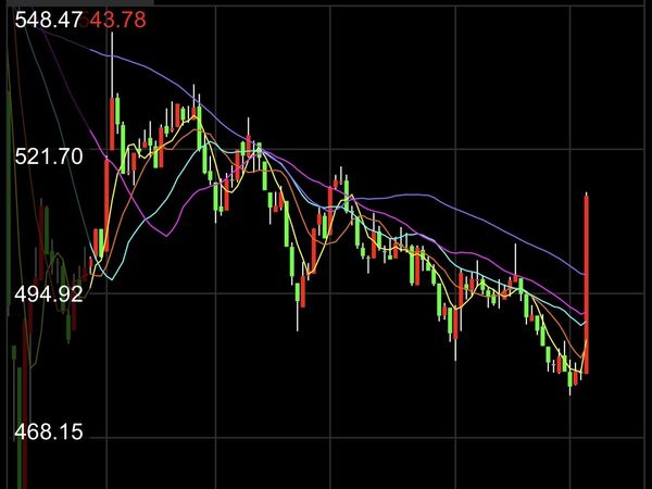 ▲▼             。（圖／翻攝自國泰證券APP）