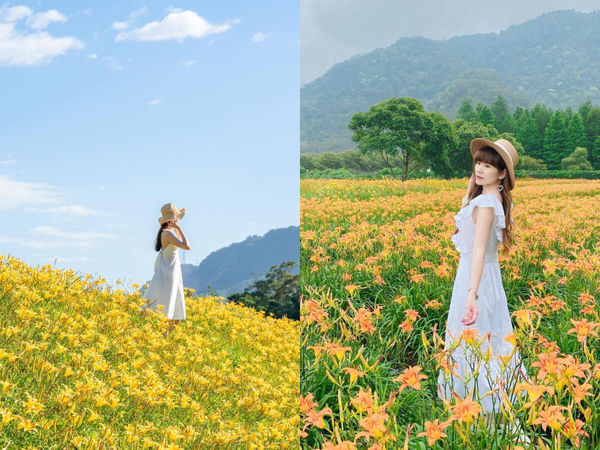 ▲▼盤點全台9大夢幻金針花海秘境。（圖／ReadyGo提供）