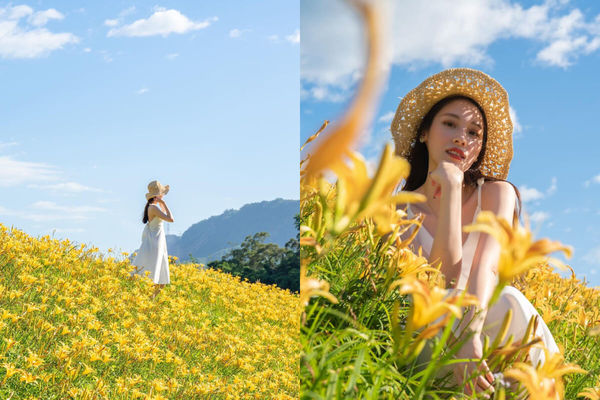 ▲▼盤點全台9大夢幻金針花海秘境。（圖／ReadyGo提供）