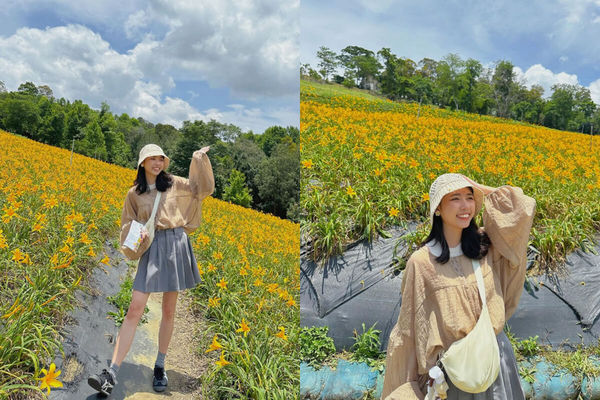 ▲▼盤點全台9大夢幻金針花海秘境。（圖／ReadyGo提供）