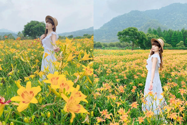 ▲▼盤點全台9大夢幻金針花海秘境。（圖／ReadyGo提供）