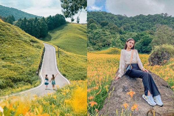 ▲▼盤點全台9大夢幻金針花海秘境。（圖／ReadyGo提供）