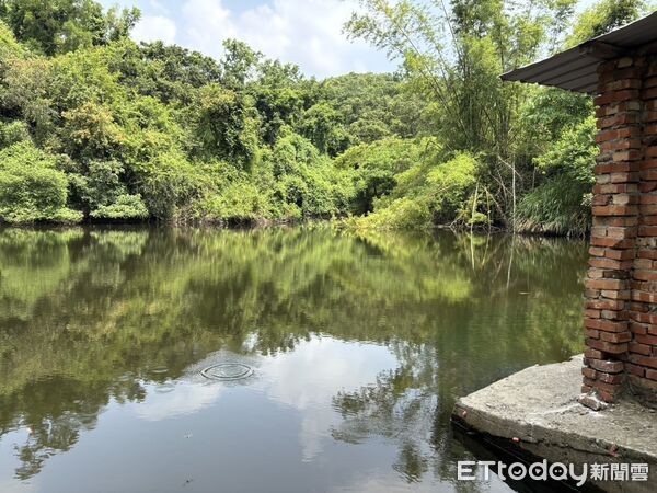 ▲一名年約60歲男子溺死在水塘。（圖／記者吳世龍翻攝）