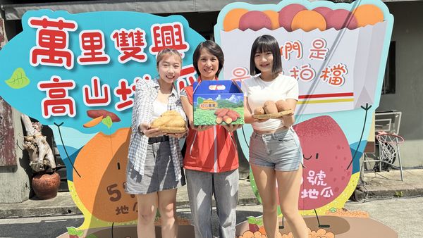 ▲萬里雙興高山地瓜 產量少價格漲仍搶手。（圖／新北市萬里區公所提供）
