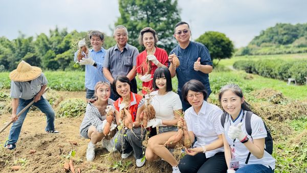 ▲萬里雙興高山地瓜 產量少價格漲仍搶手。（圖／新北市萬里區公所提供）