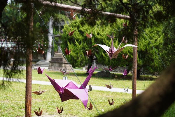 ▲桃園神社9月6日起至11月30日推出「千鶴結び祭り」。（圖／桃園神社提供）