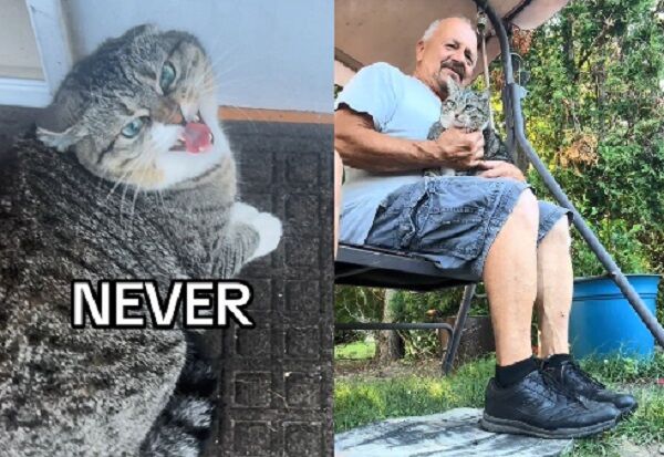 ▲。（圖／翻攝自TikTok／@chancebeforetherapper）