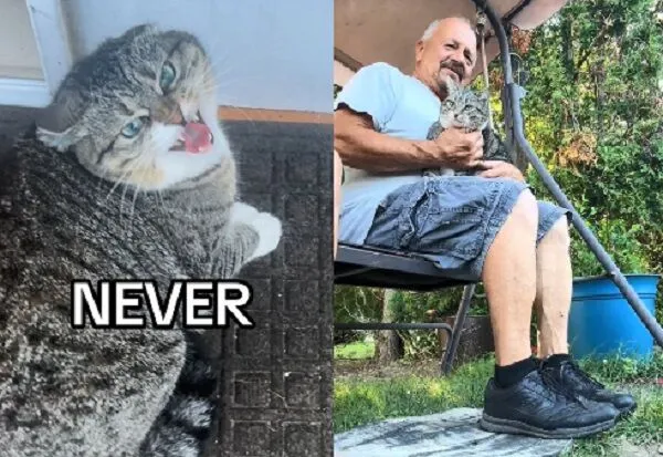 ▲。（圖／翻攝自TikTok／@chancebeforetherapper）