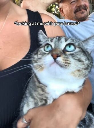 ▲。（圖／翻攝自TikTok／@chancebeforetherapper）