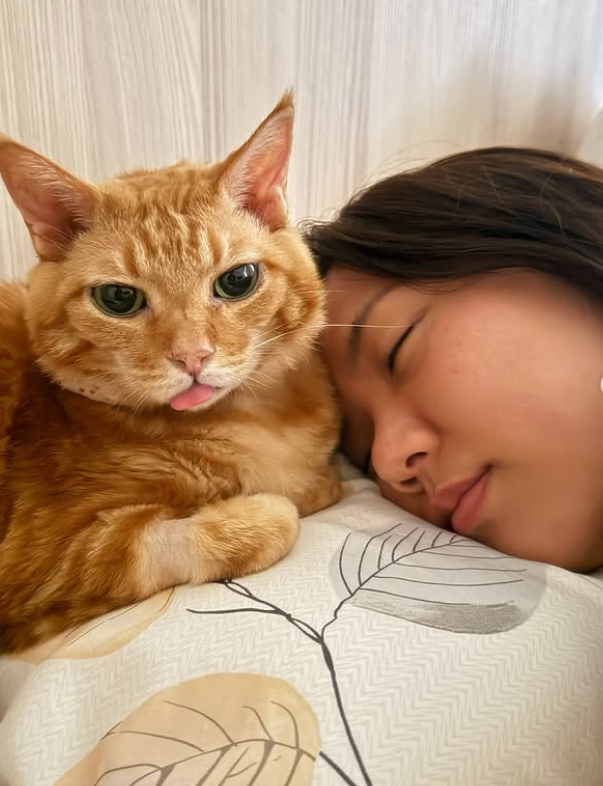 ▲魚乾。（圖／翻攝自Instagram／annie72127）