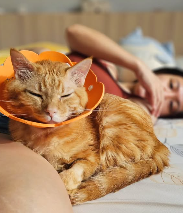 ▲魚乾。（圖／翻攝自Instagram／annie72127）