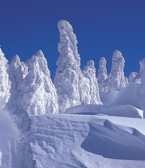 東北雪國童話！森吉山賞樹冰、銀山溫泉大正浪漫（圖／鳳凰旅遊）