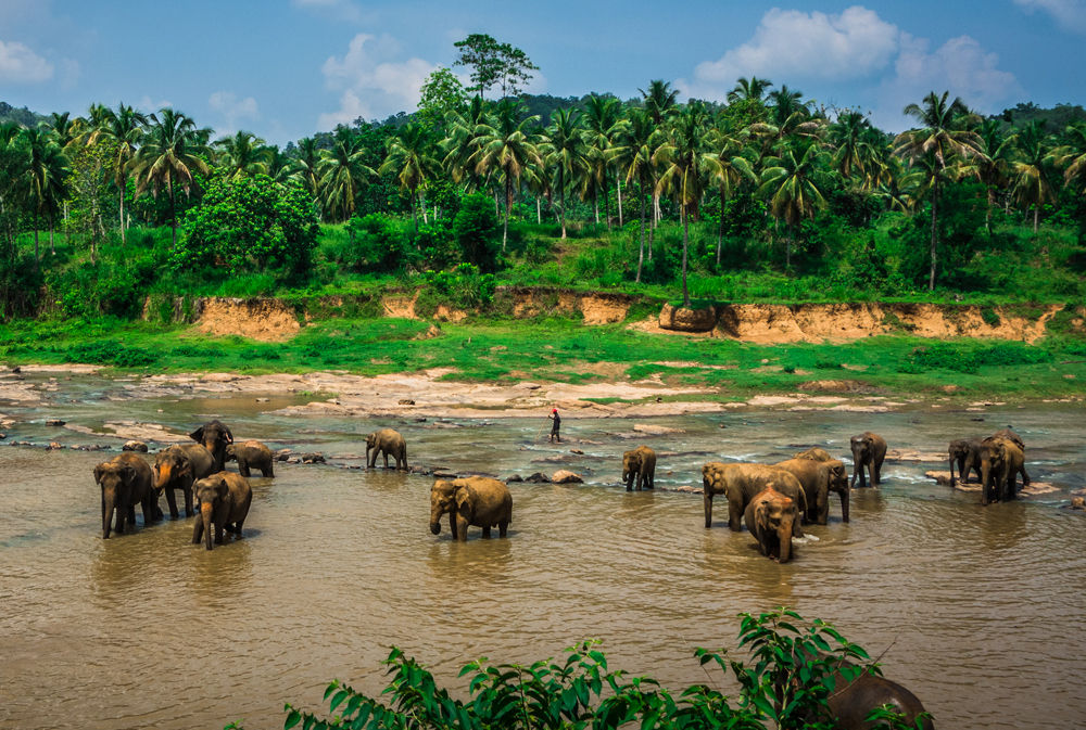 斯里蘭卡金獎遊程 限定團第二人減4千（圖／鳳凰旅遊）