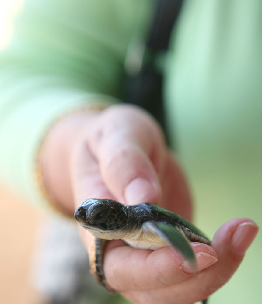 斯里蘭卡金獎遊程 限定團第二人減4千（圖／鳳凰旅遊）
