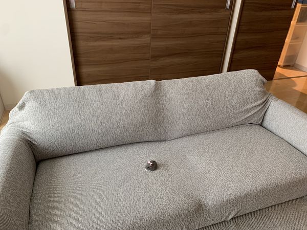 ▲。（翻攝自X／@entachiryouin）