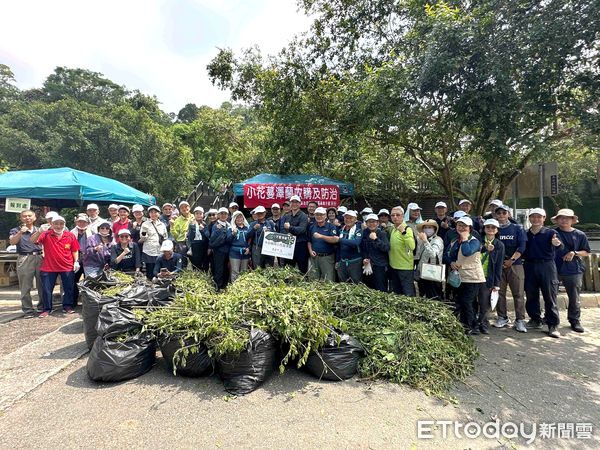 ▲嘉義分署偕志工及社區居民展開除蔓行動，清除大量小花蔓澤蘭，守護台灣生態。（記者林東良翻攝，下同）