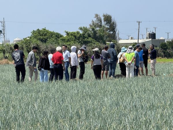 ▲彰化芳苑蔥農使用木黴菌成功挺過颱風及暴雨。（圖／記者唐詠絮翻攝）